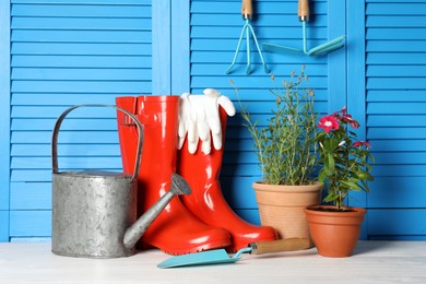 Photo of Beautiful flowers and gardening tools on white wooden table near light blue wall