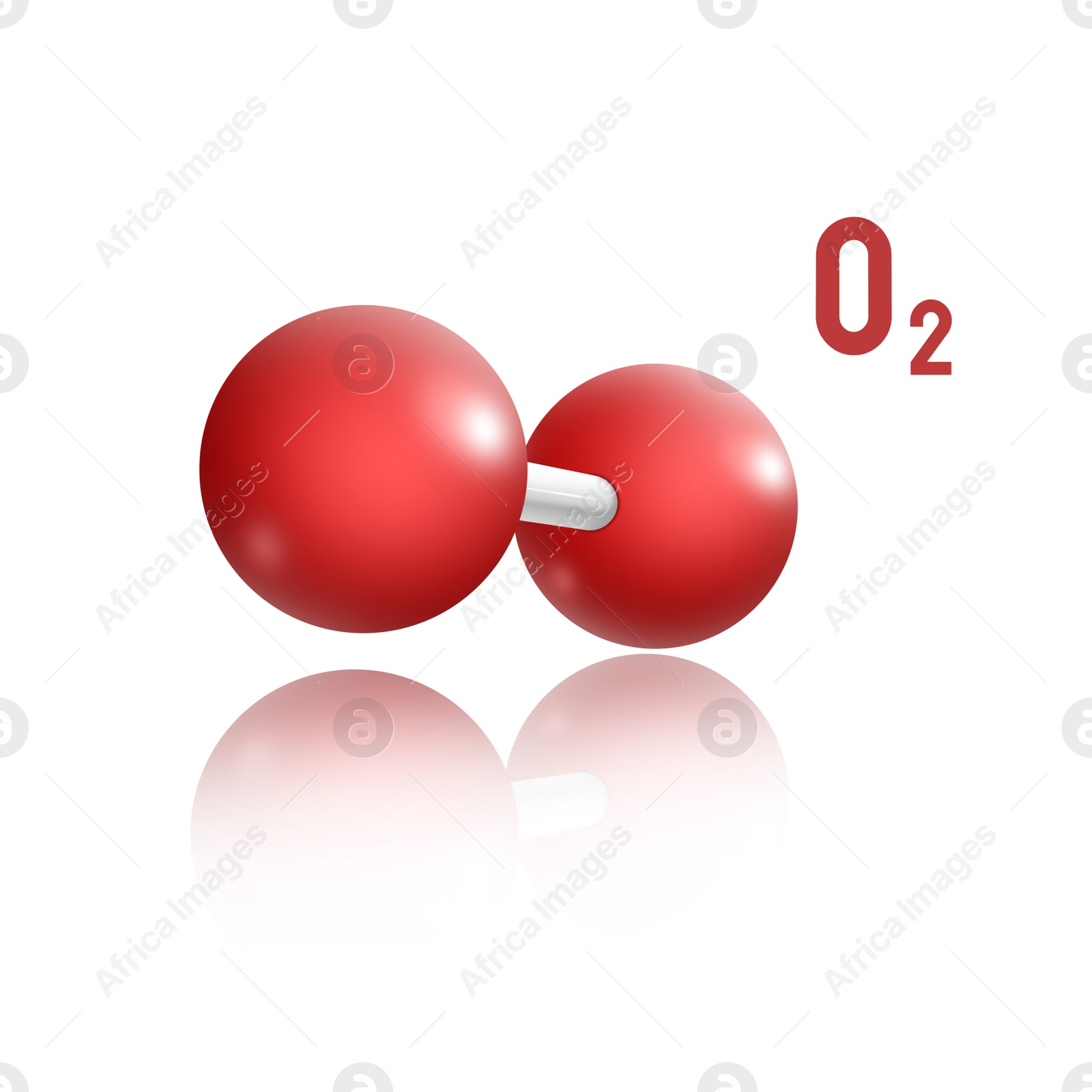 Illustration of Two molecules of Oxygen on white background, illustration