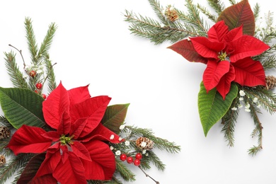 Flat lay composition with beautiful poinsettia on white background, space for text. Christmas traditional flower