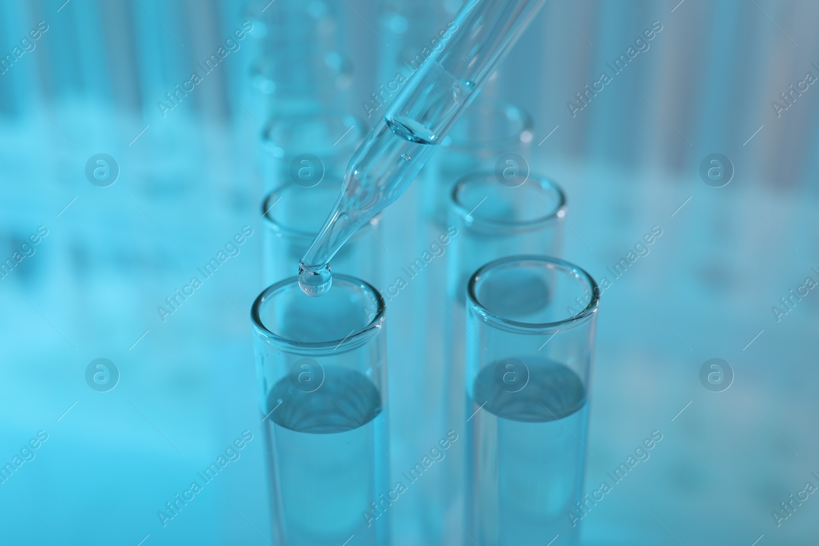 Photo of Laboratory analysis. Dripping liquid from pipette into glass test tube on light blue background, closeup