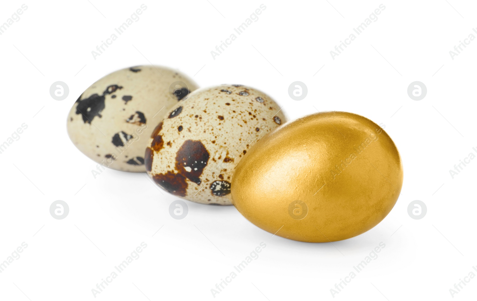 Photo of Golden egg and quail ones on white background