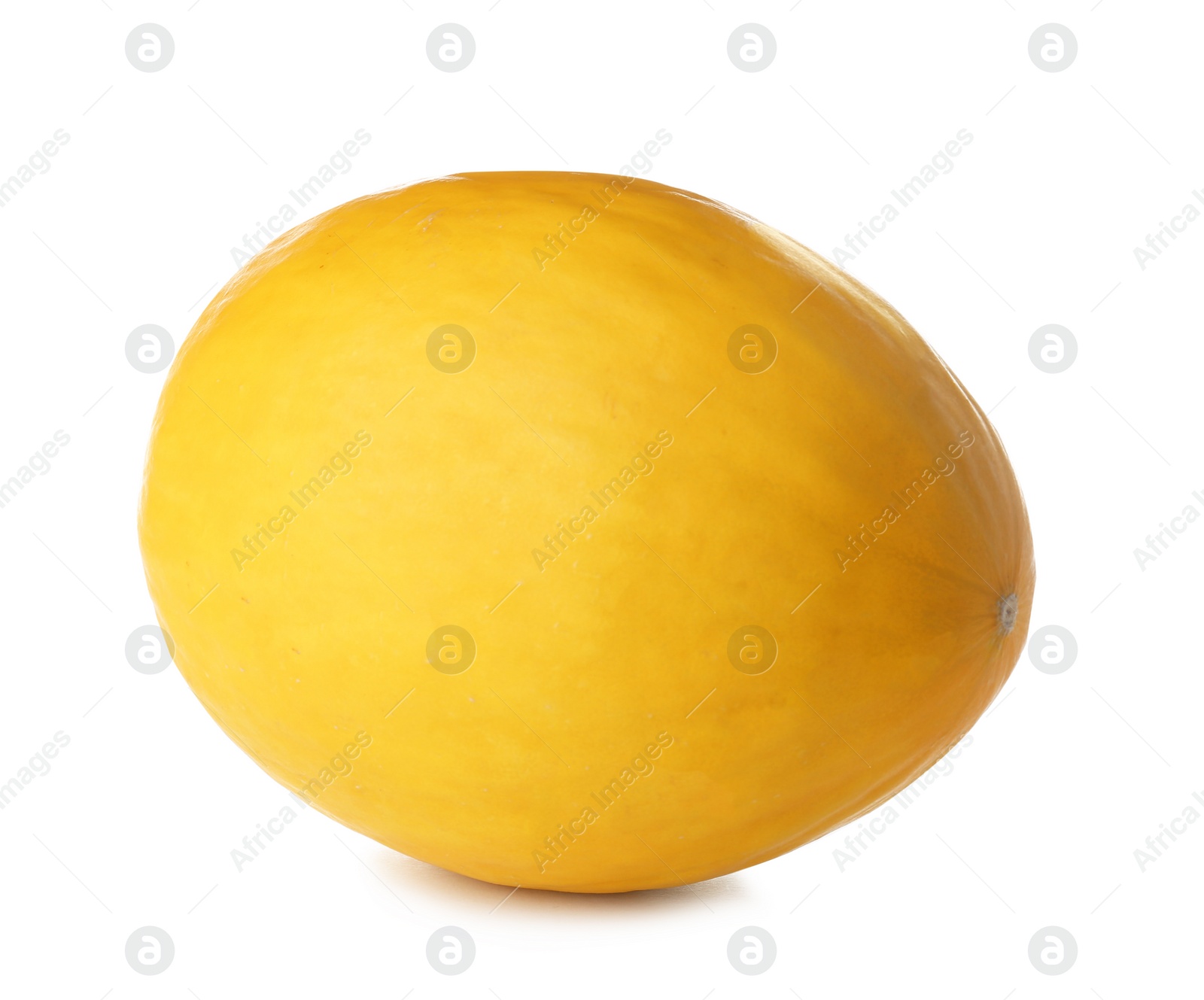 Photo of Whole tasty ripe melon on white background