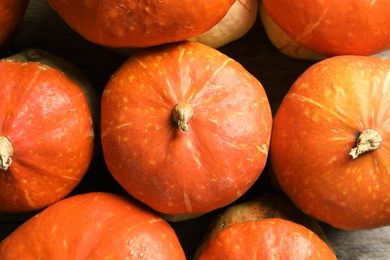 Many orange pumpkins as background, closeup. Autumn holidays