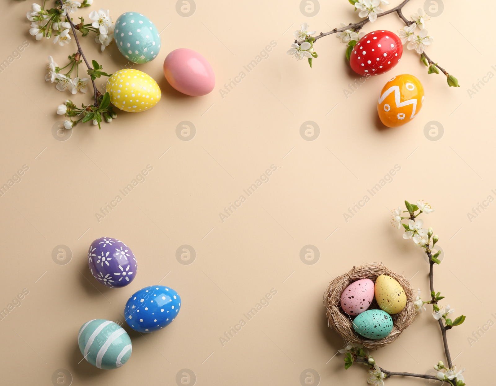 Photo of Flat lay composition with painted Easter eggs and blossoming branches on color background, space for text