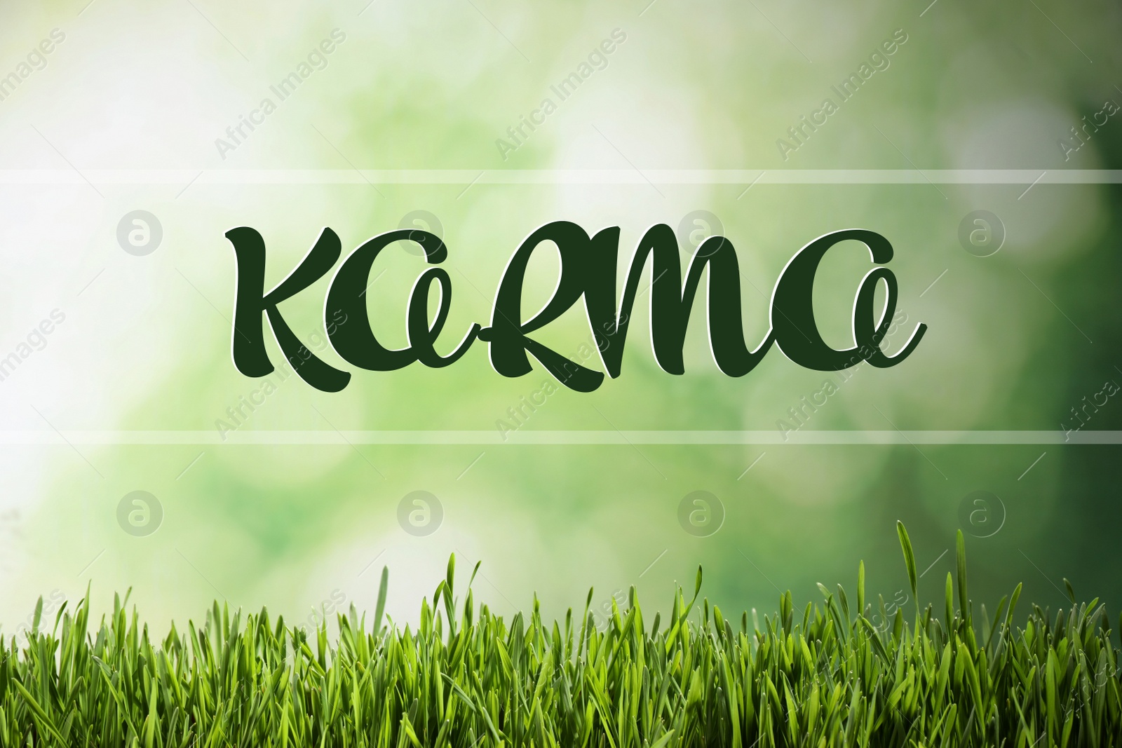 Image of Word KARMA on blurred green background, bokeh effect 