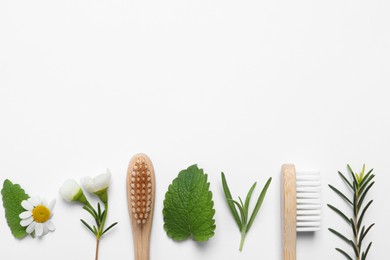 Photo of Bamboo toothbrushes, flowers and herbs on white background, flat lay. Space for text