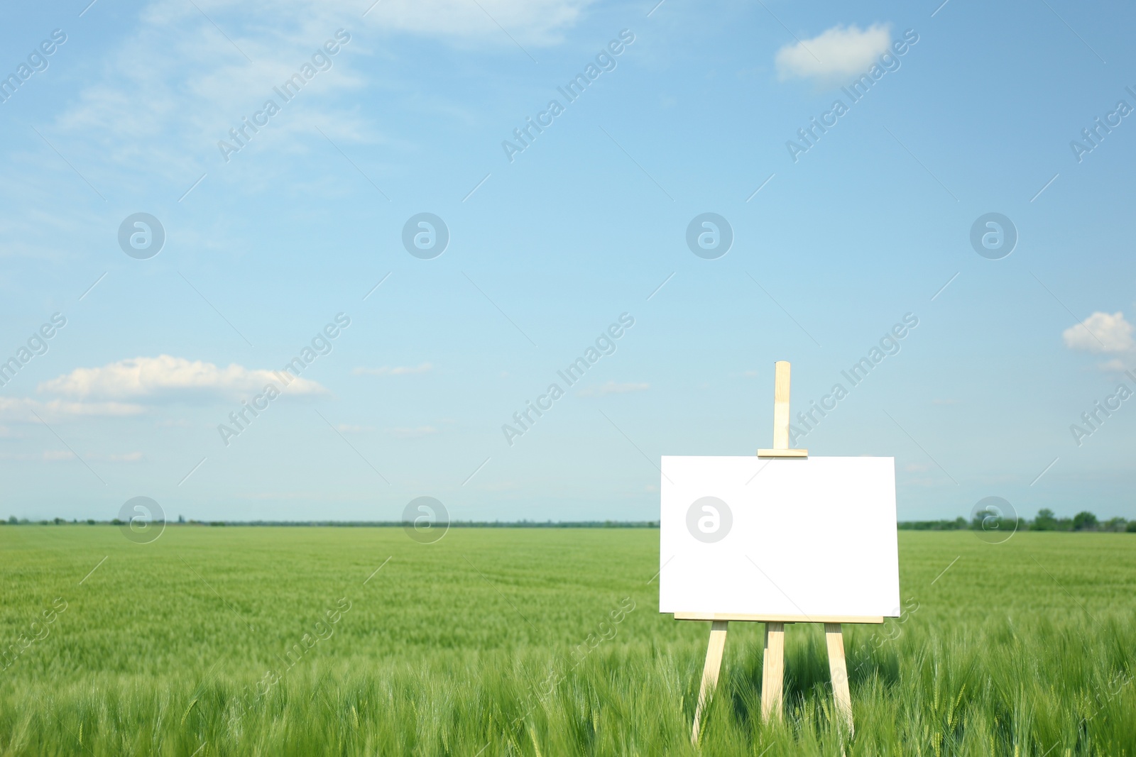 Photo of Wooden easel with blank canvas in picturesque green field on sunny day. Space for text