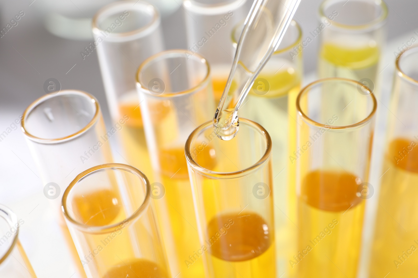 Photo of Dropping urine sample for analysis into tube, closeup