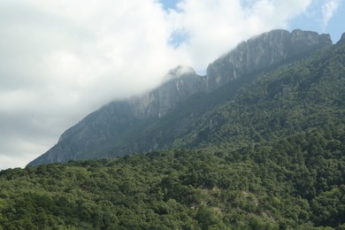 Photo of Picturesque view of big mountains and trees under cloudy sky
