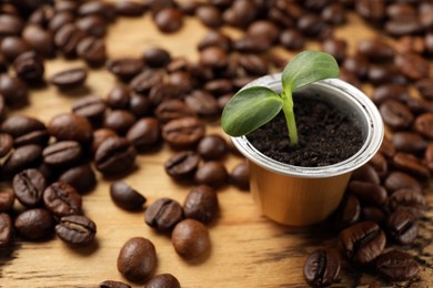 Photo of Coffee capsule with seedling and beans on wooden table, closeup. Space for text