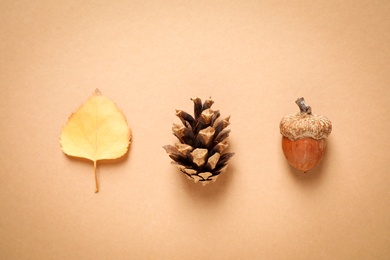 Photo of Autumn leaf, acorn and conifer cone on beige background, top view