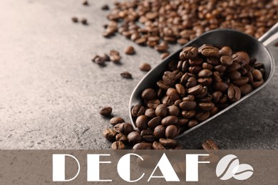 Metal scoop with decaf coffee beans on grey table, closeup