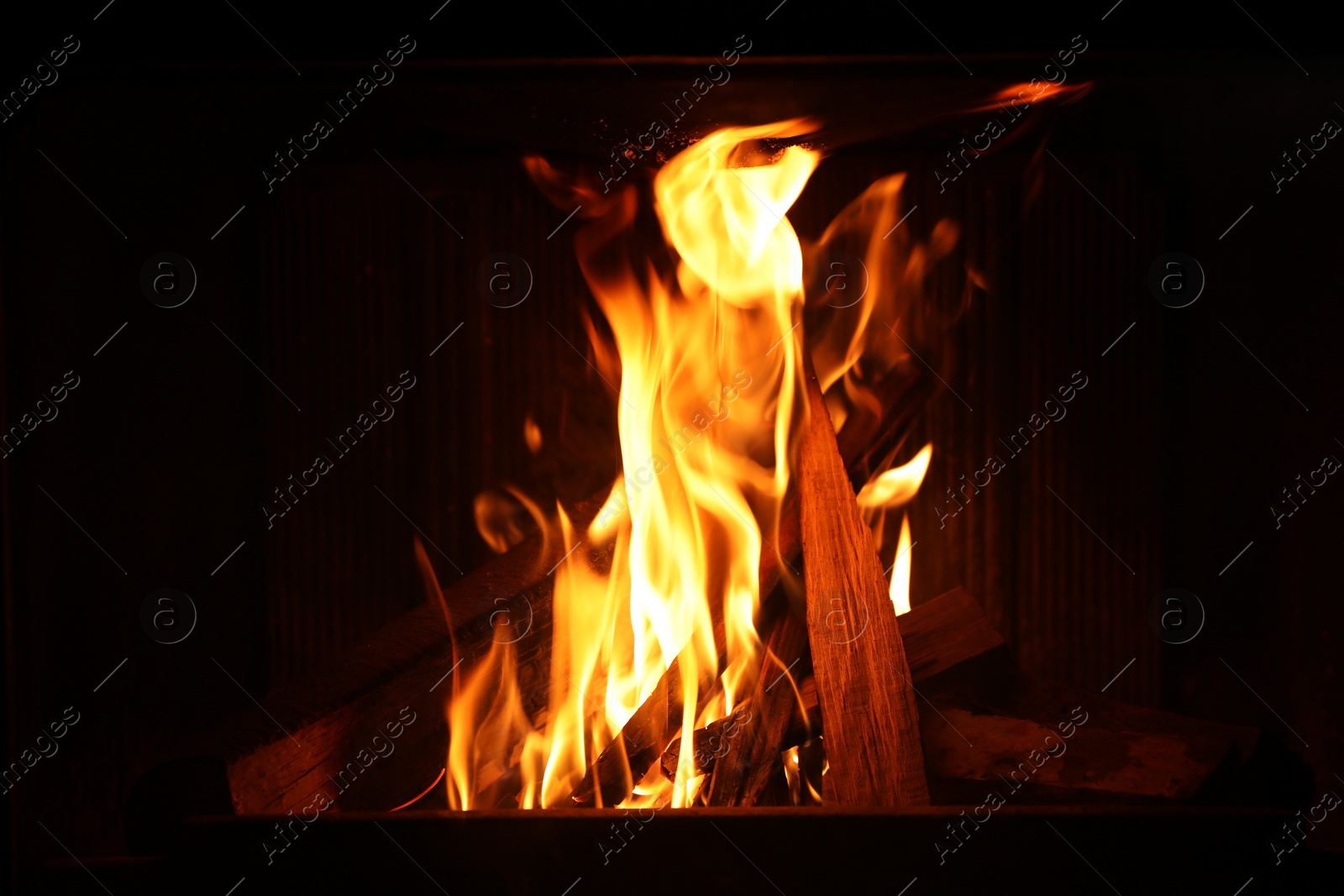 Photo of Bonfire with burning firewood on dark background