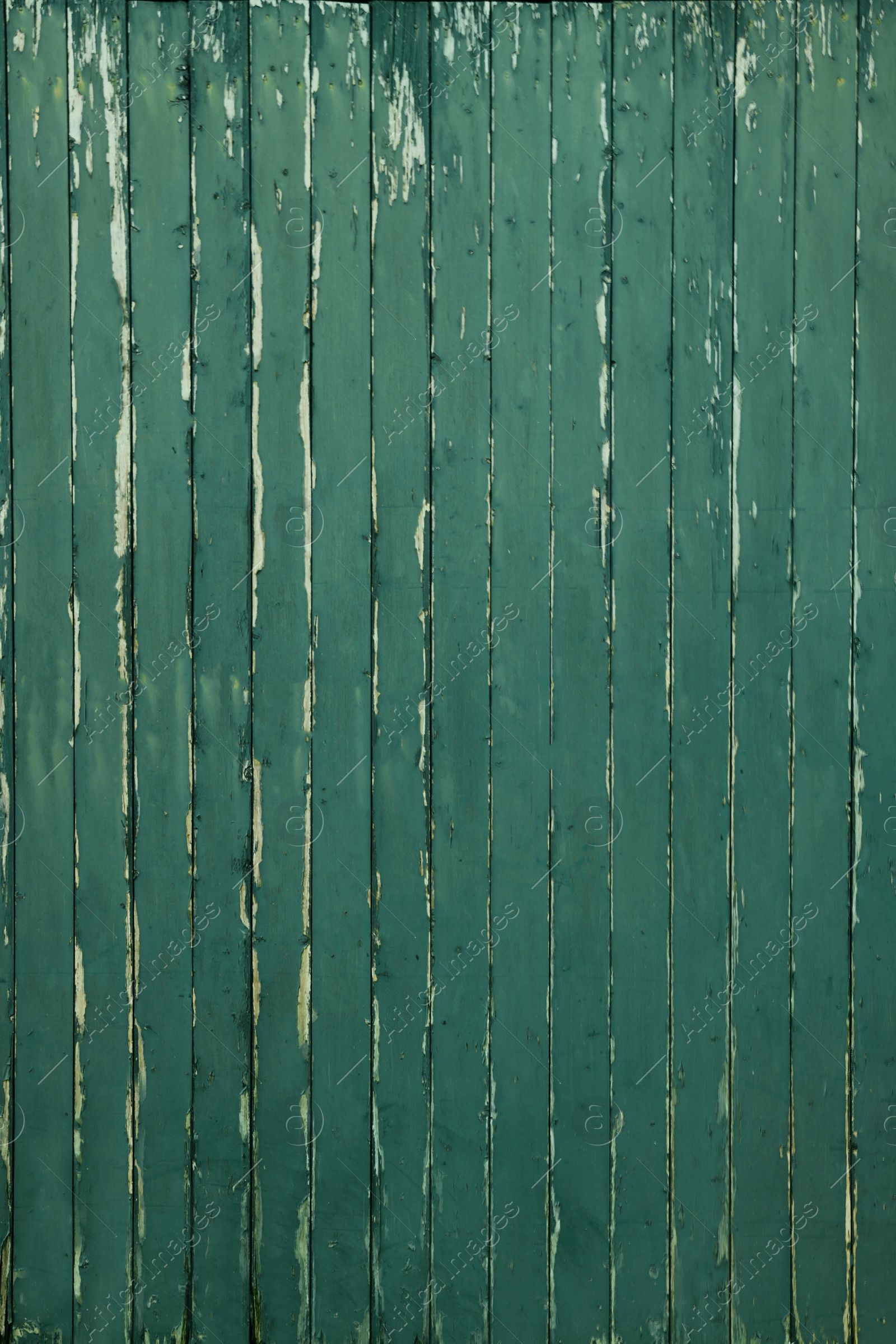 Photo of Texture of old green wall as background