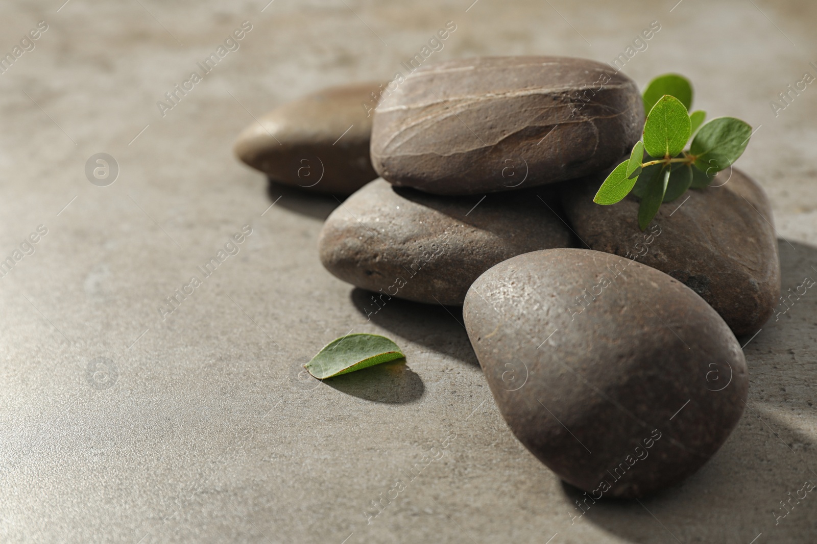 Photo of Spa stones with eucalyptus on color background. Space for text