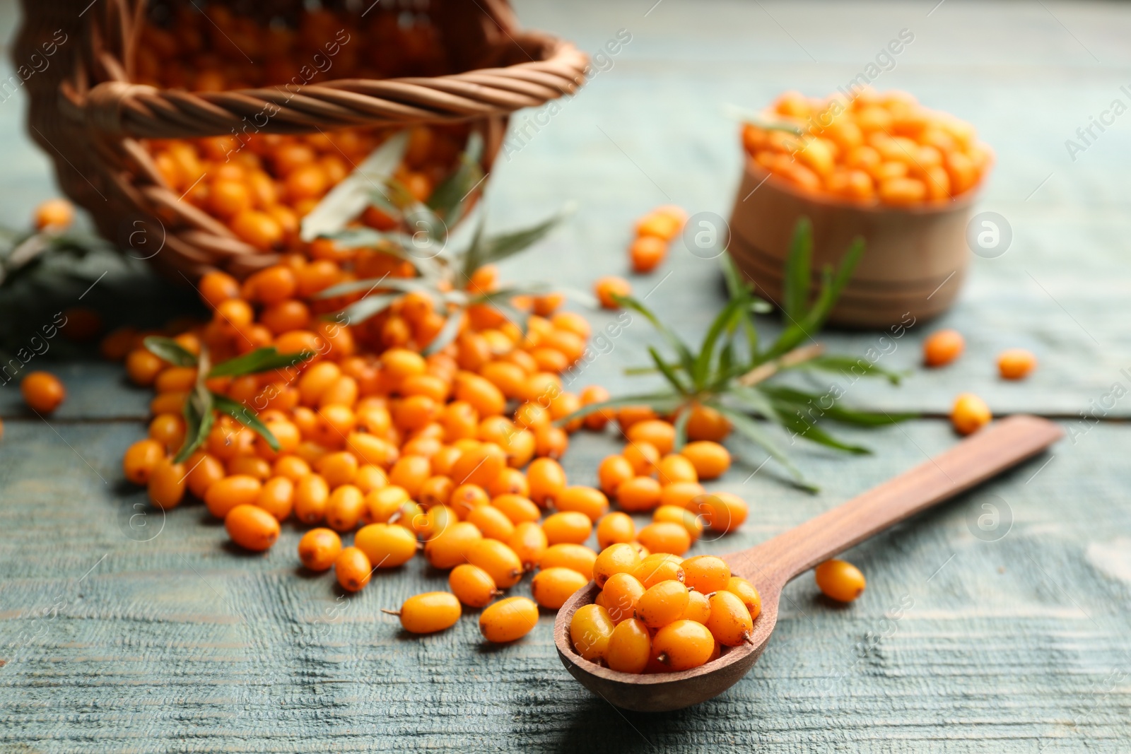 Photo of Ripe sea buckthorn berries on blue wooden table