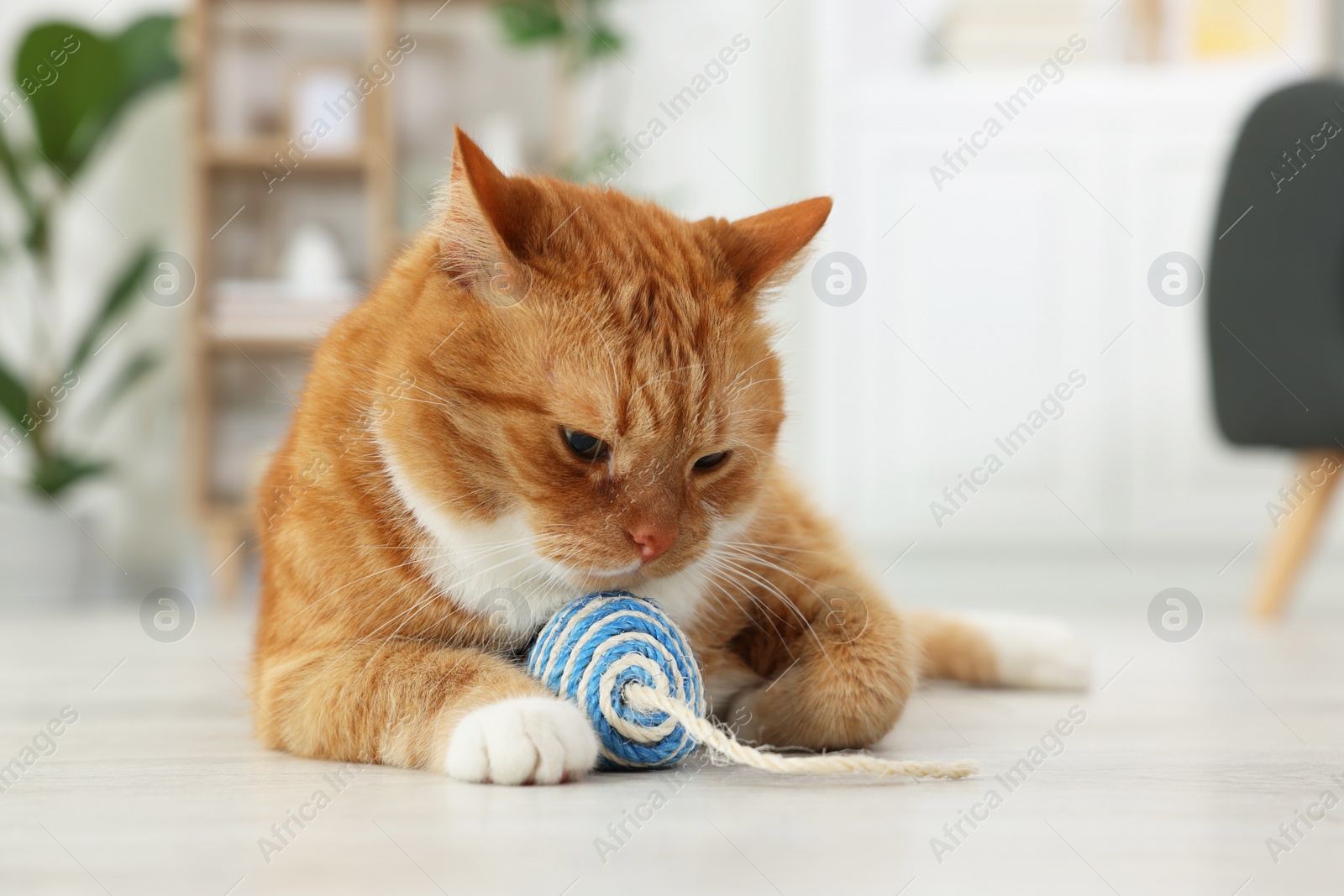 Photo of Cute ginger cat playing with sisal toy mouse at home