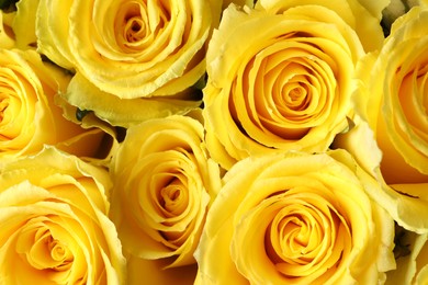 Photo of Beautiful bouquet of yellow roses as background, top view