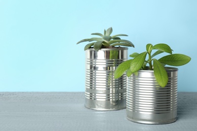 Beautiful houseplants in tin cans on light grey wooden table. Space for text