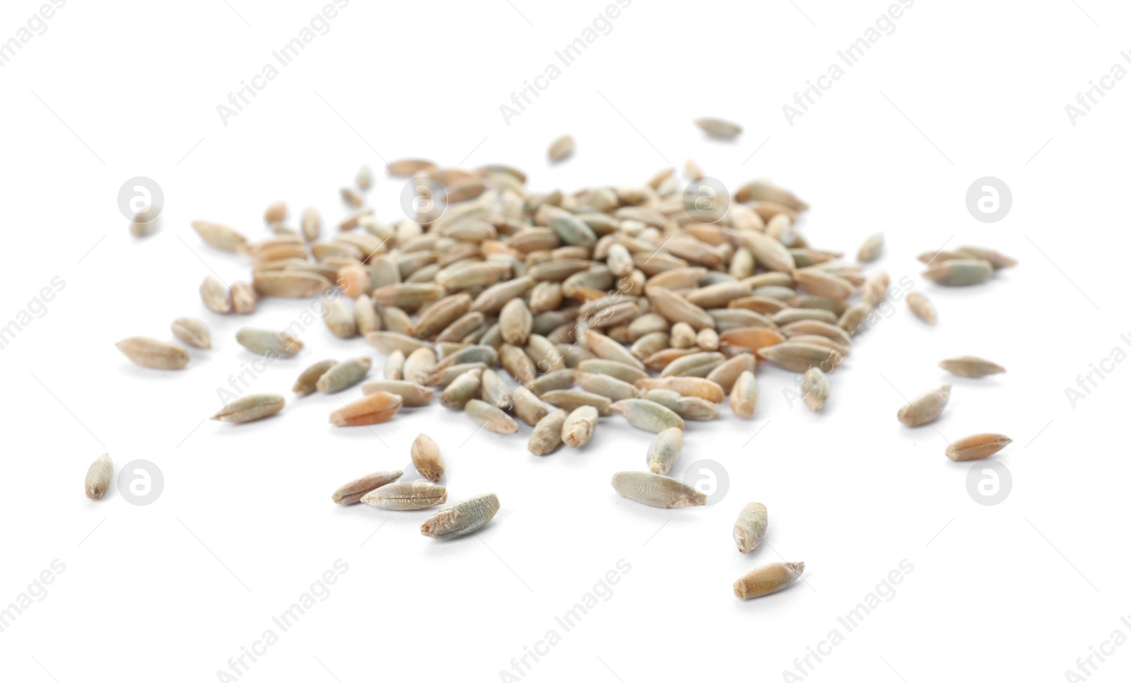 Photo of Pile of rye grains on white background. Cereal crop