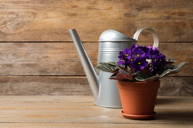 Photo of Beautiful potted violet flowers and watering can on wooden table, space for text. Delicate house plant