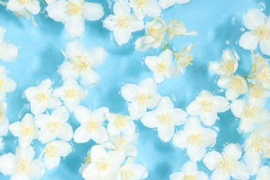 Beautiful jasmine flowers in water on light blue background, top view