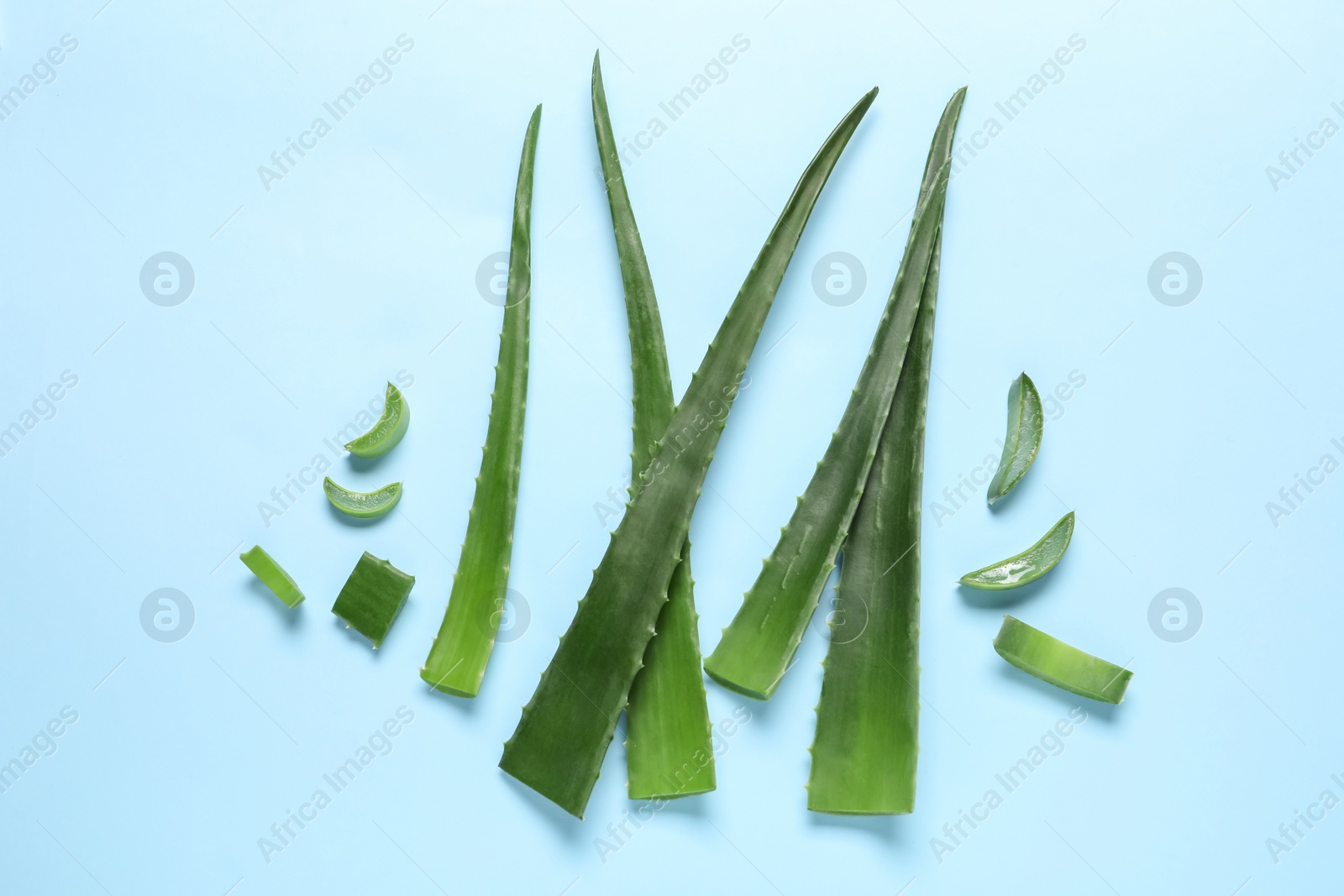 Photo of Cut aloe vera leaves on light blue background, flat lay