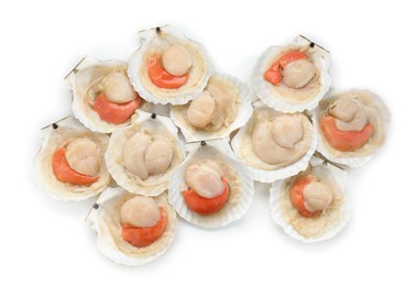 Photo of Many fresh raw scallops in shells isolated on white, top view