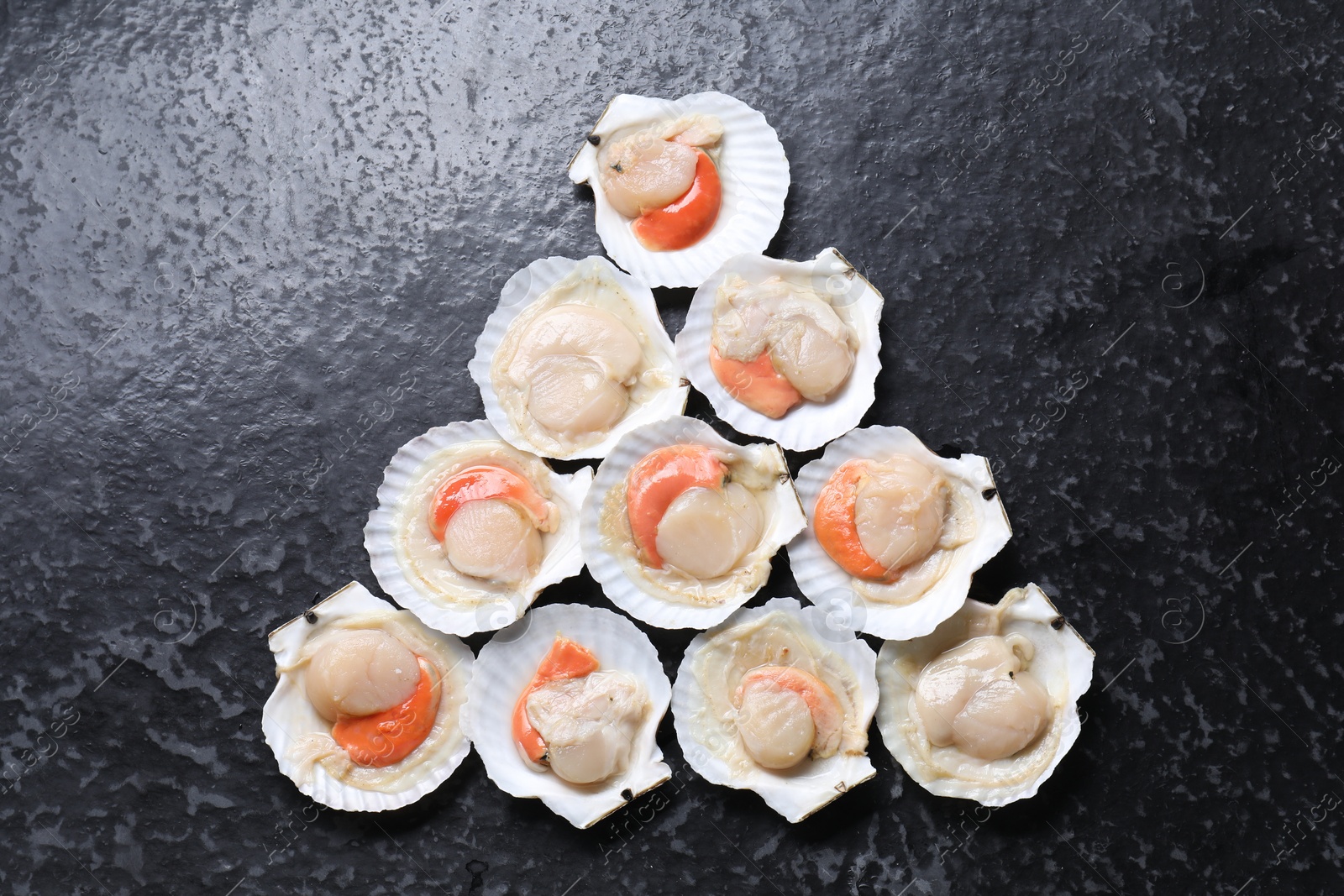 Photo of Fresh raw scallops with shells on black textured table, flat lay