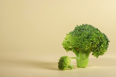 Fresh raw broccoli on beige background, space for text