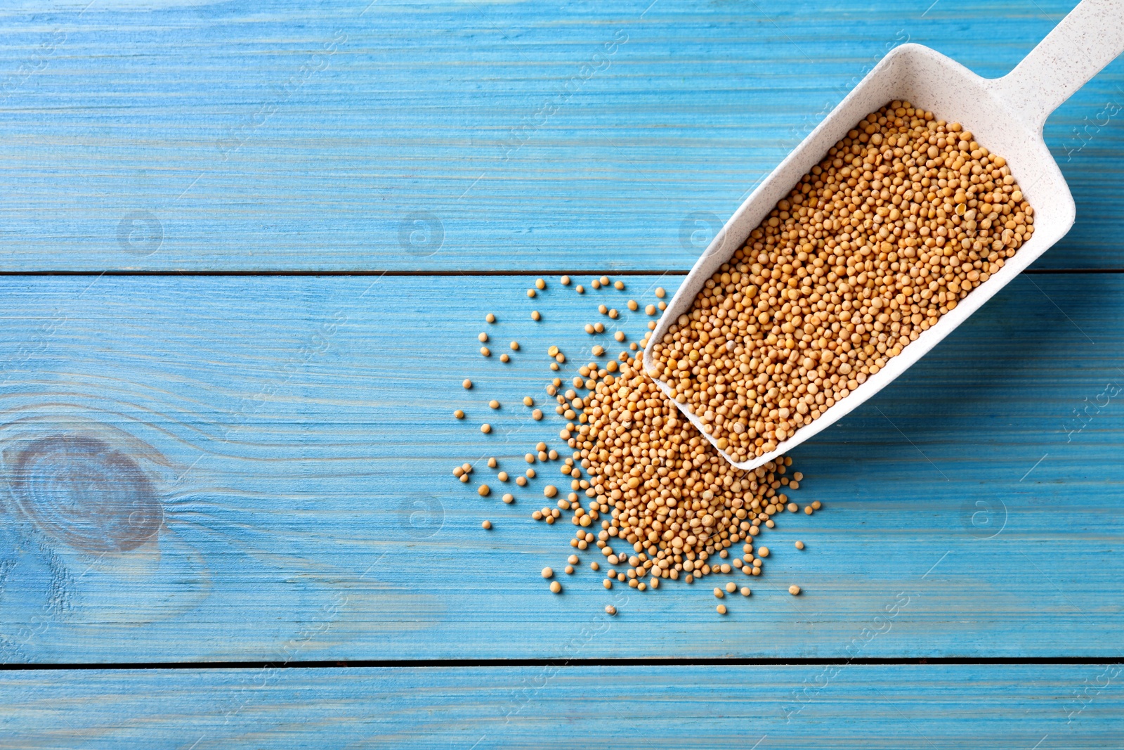 Photo of Mustard seeds and scoop on turquoise wooden table, flat lay. Space for text