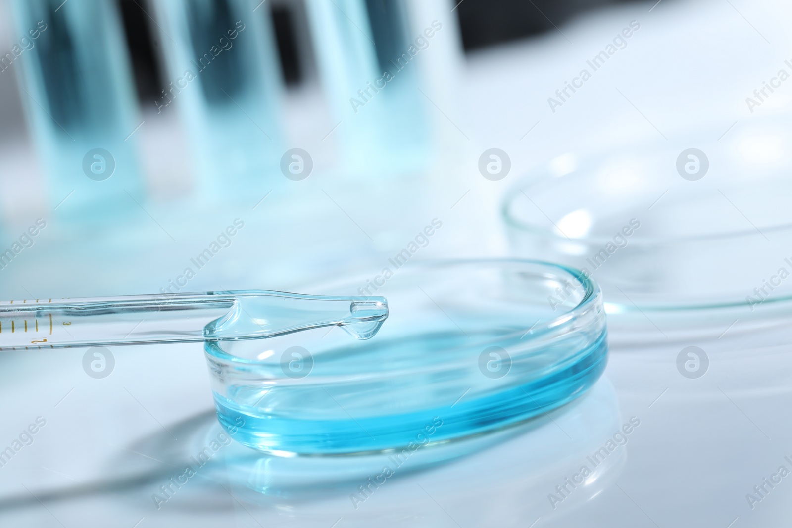 Photo of Dripping liquid from pipette into petri dish at white table, closeup