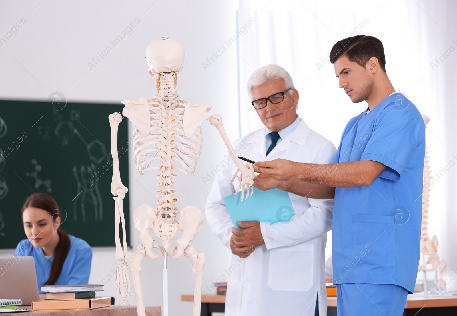 Photo of Medical students and professor studying human skeleton anatomy in classroom