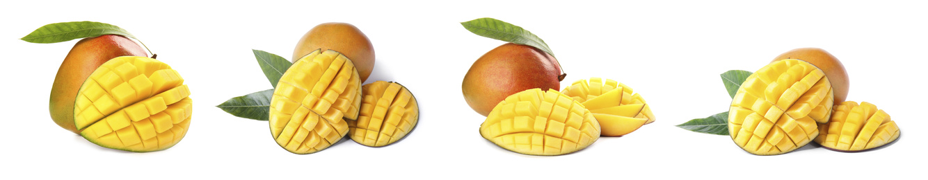 Image of Set of delicious mangoes on white background. Banner design