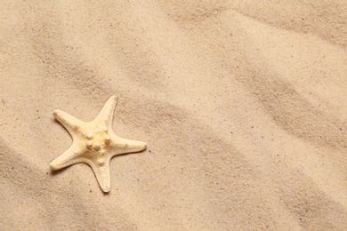 Photo of Beautiful starfish and space for text on beach sand, top view. Summer vacation