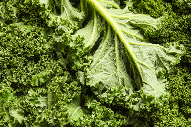 Photo of Fresh wet kale leaves as background, closeup