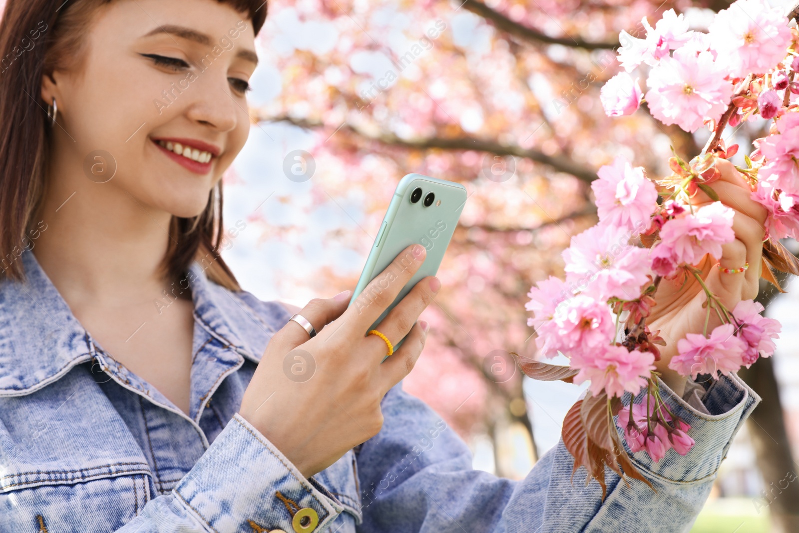 Photo of Beautiful young woman taking picture of blossoming sakura tree branch in park, focus on hand