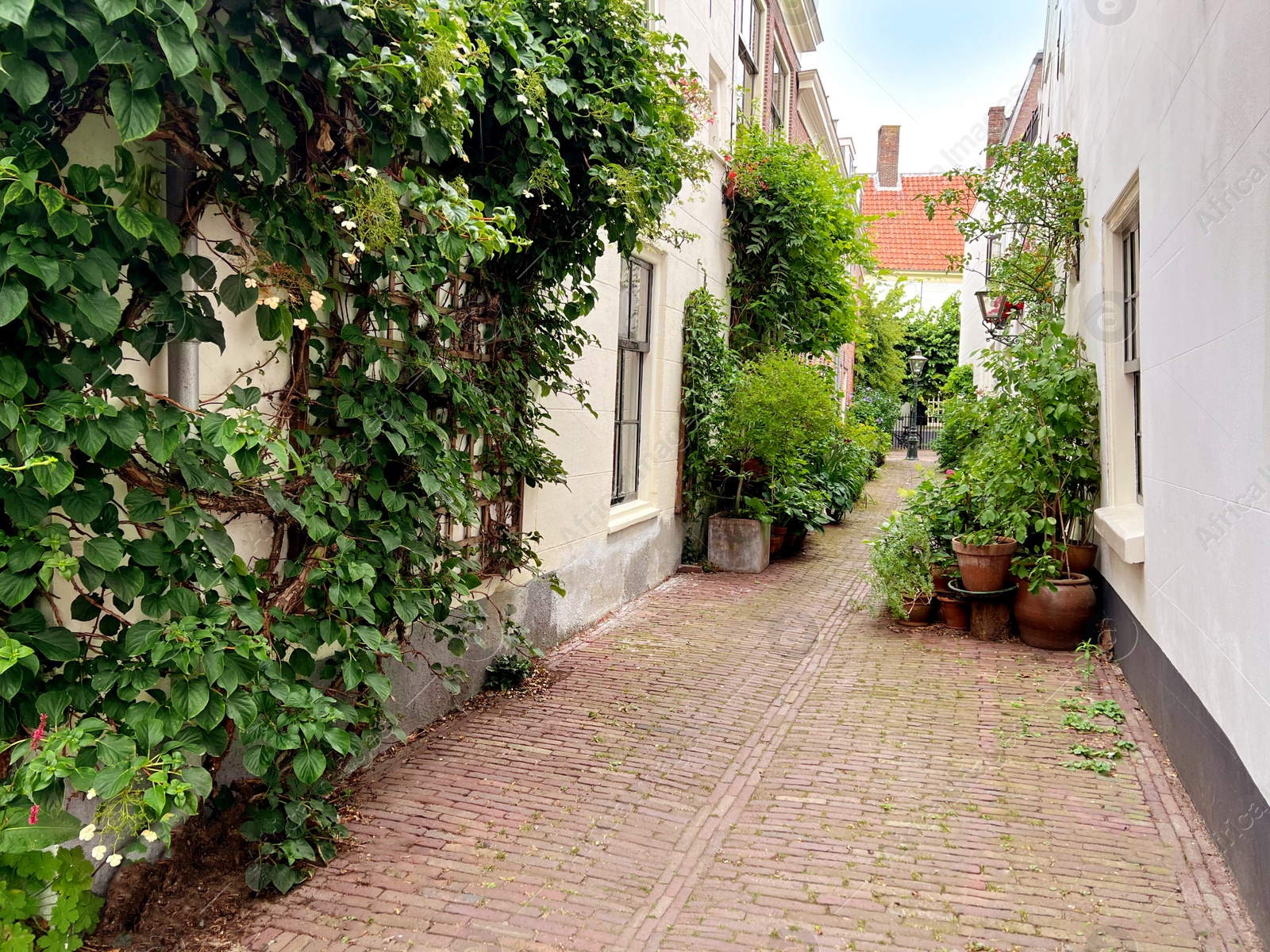 Photo of Beautiful view of city street with buildings and plants on sunny day