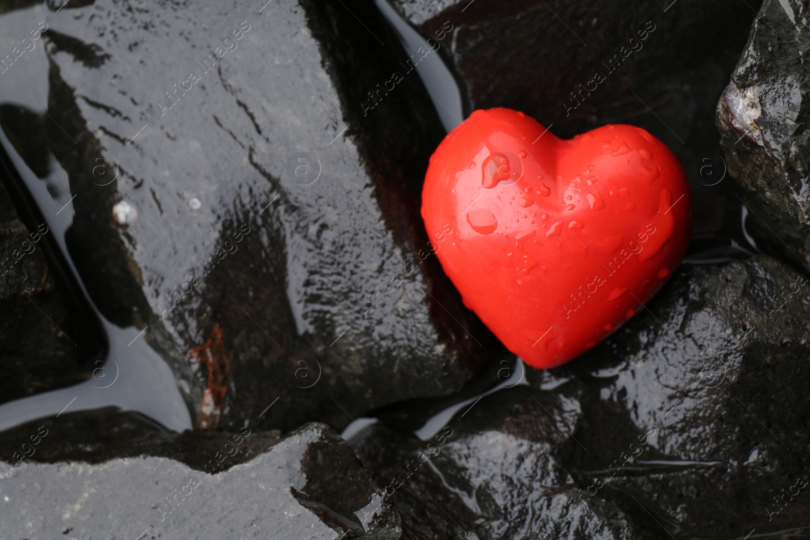 Photo of Red decorative heart on stones and water, top view