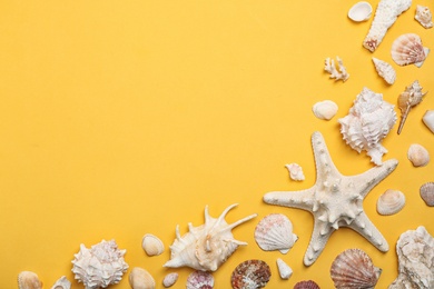 Different shells and sea star on color background, top view. Beach resort