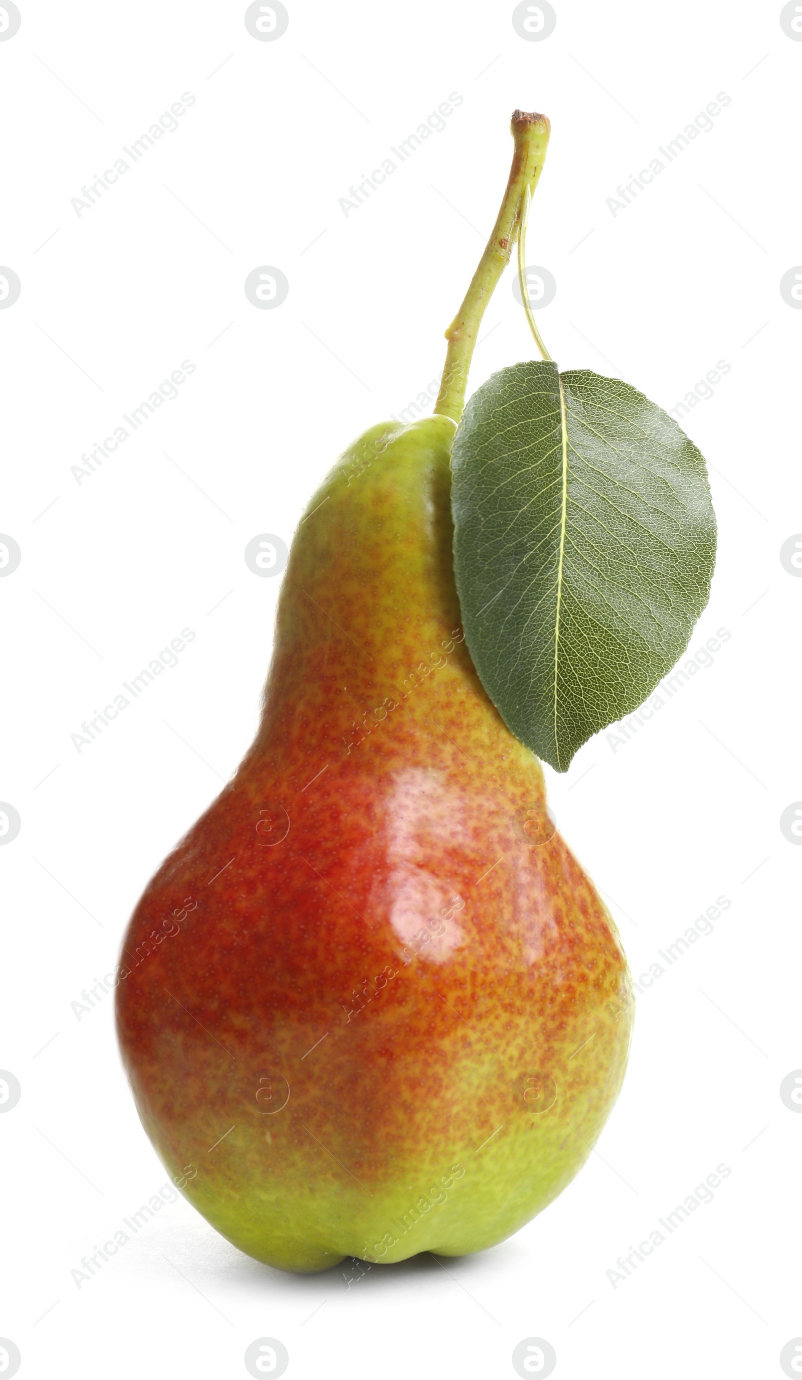 Photo of Whole ripe pear on white background