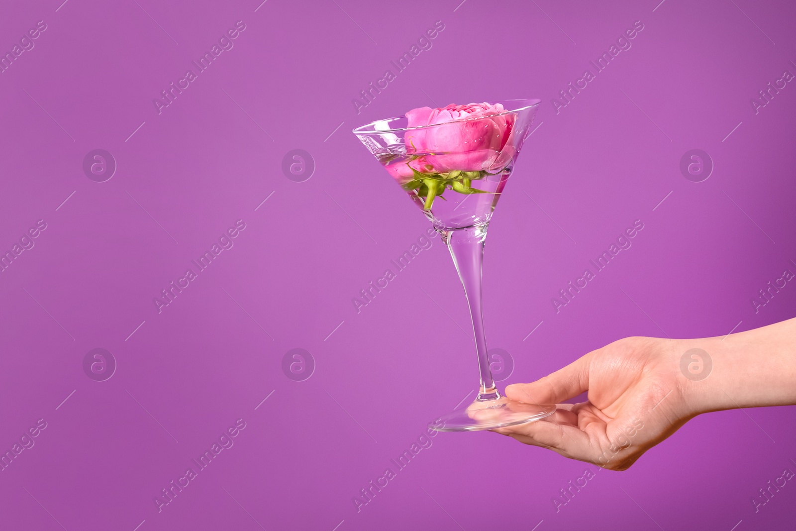 Photo of Woman holding martini glass with water and pink flowers on violet background, closeup. Space for text