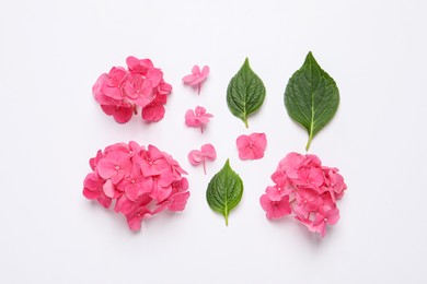 Beautiful hydrangea flowers and green leaves on white background, flat lay