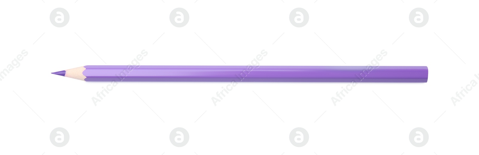 Photo of New purple wooden pencil isolated on white