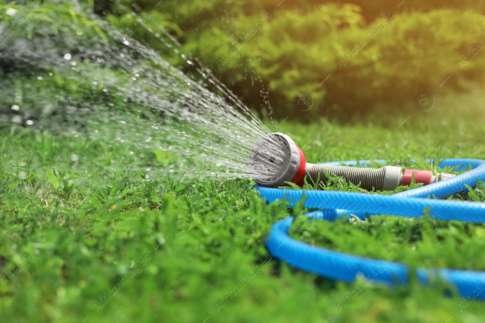 Photo of Water spraying from hose on green grass outdoors