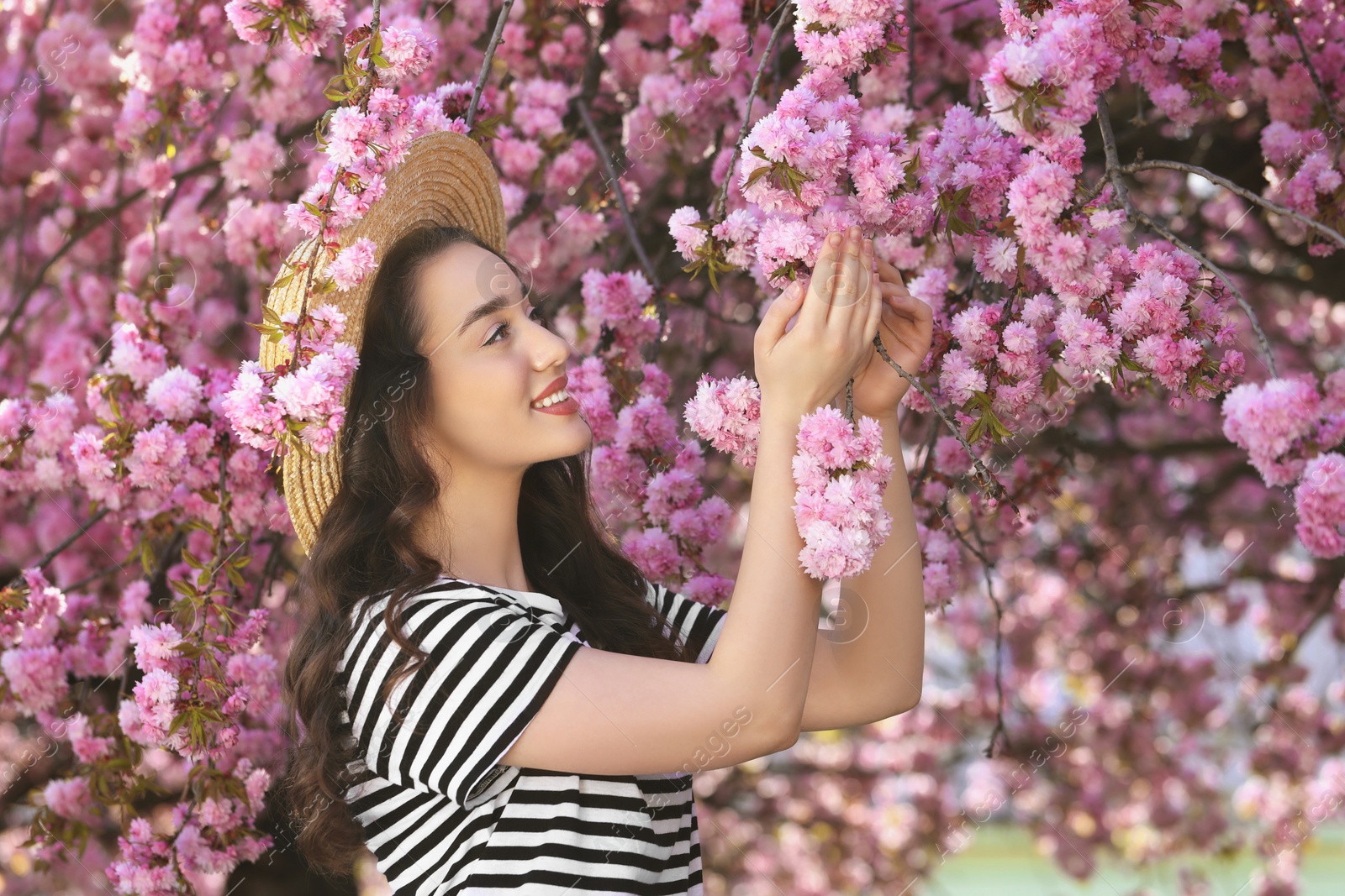 Photo of Beautiful woman near blossoming sakura tree on spring day