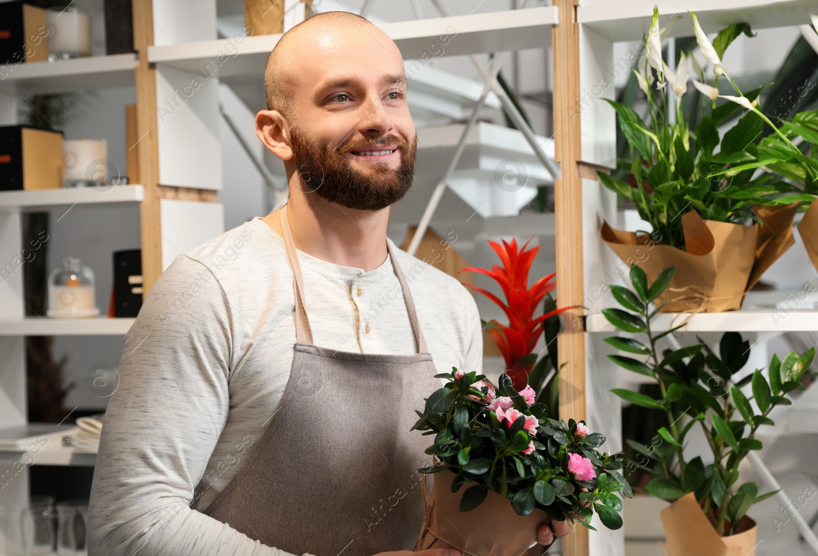 Photo of Professional male florist in apron at workplace