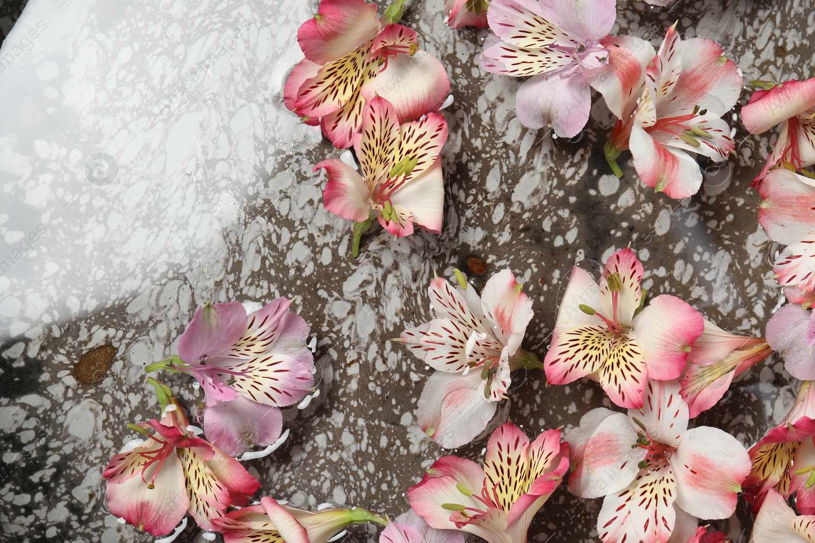 Photo of Bowl of water with flowers as background, above view