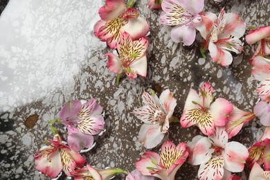 Photo of Bowl of water with flowers as background, above view