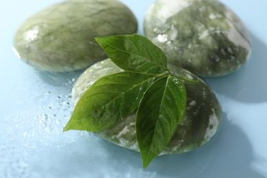 Photo of Spa stones and green leaves in water on light blue background, closeup